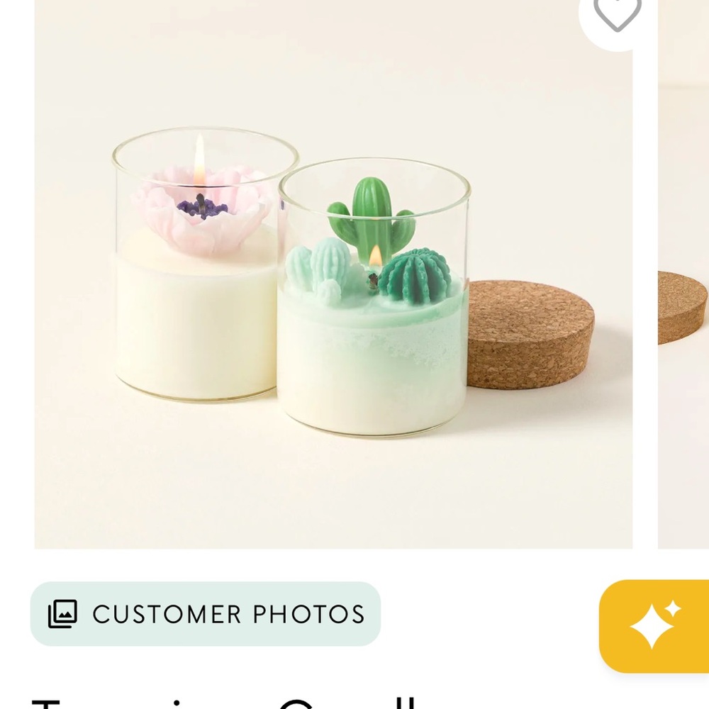 Uncommon Goods Terrarium Candle